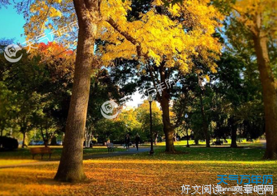 苏沐秋的名言_关于苏沐秋的名言
