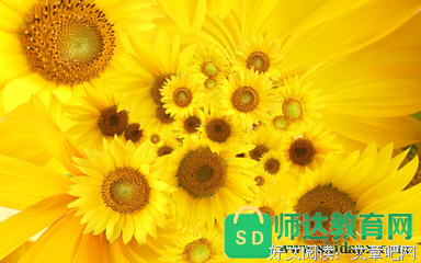 关于太阳的个来上再么裔的句子