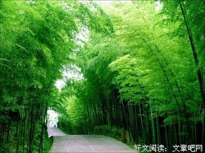 百年孤独句子