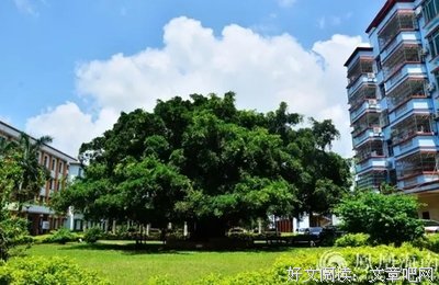我爱的诗