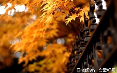破碎的句子