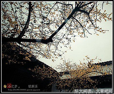 白音格力名言大全