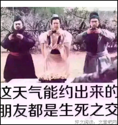 最经典的路飞的小猪名言大全