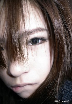 野象小姐名言