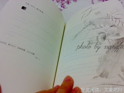 最新的《素年锦时》经典的句子大全