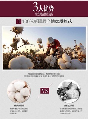最经典的《绣色可餐》经典名句