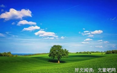 最经典的《美丽心灵》经典名句大全