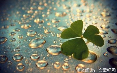 最新的《群山回唱》经典句子