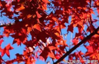 描写始作俑者的经典句子