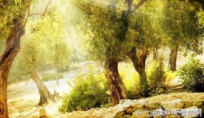 美文美句经典的句子