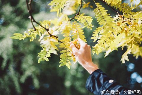 邂逅经典的句子