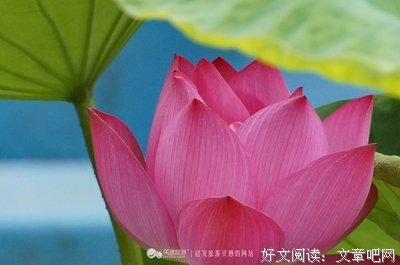 罗伯特·清崎名言名句
