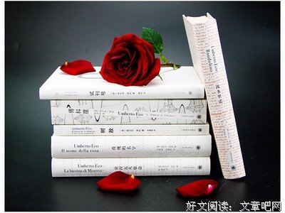 翁贝托·埃科的名言