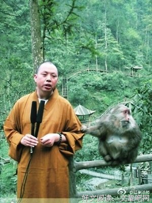有关延参法并和名言