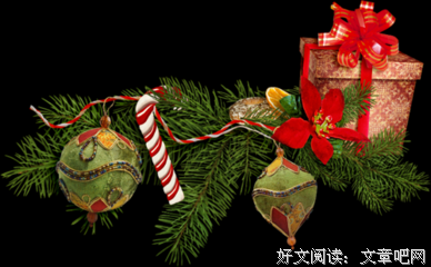 《当鞋合脚时》经典语录