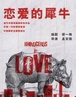 最新的《恋爱的犀牛》语录摘抄大全