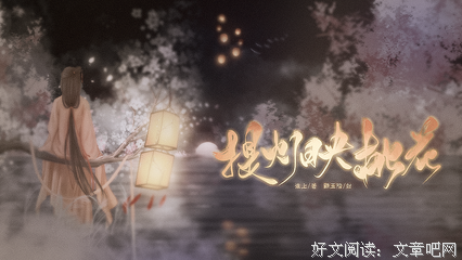 最经典的《提灯映桃花》语录摘抄
