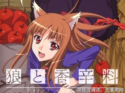 最新的《狼与香辛料》佳句摘抄