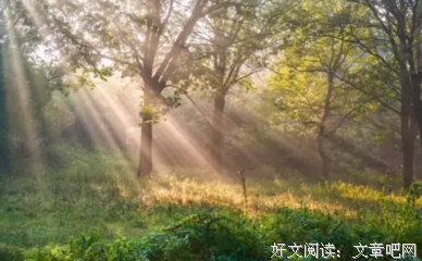 最全的《社会心理学》经典语句