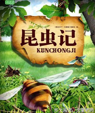 最全的《练习一个人》好段摘抄