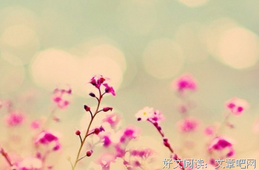 最经典的《风悠落：悠》经典语句大全