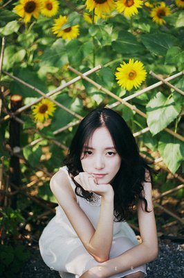 《骑士幻想夜》小说摘抄大全
