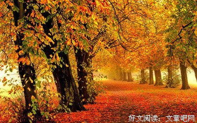 描写你一言我一语的经典句子