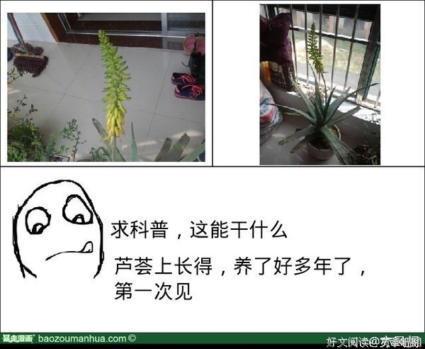 亦风的名句_关于亦风的名句