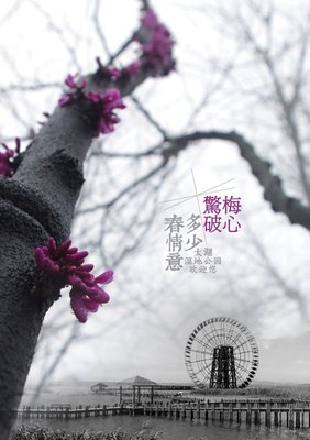 锦年盛夏的优美句子