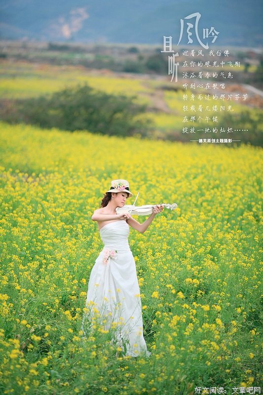 且听风吟的句子