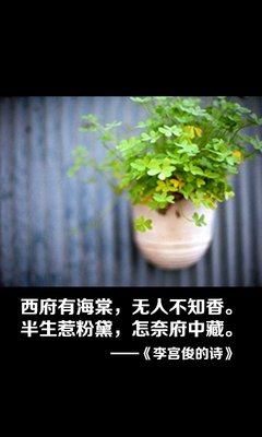 最新的严宫俊的格言