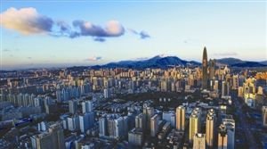 最全的赵青杉座右铭