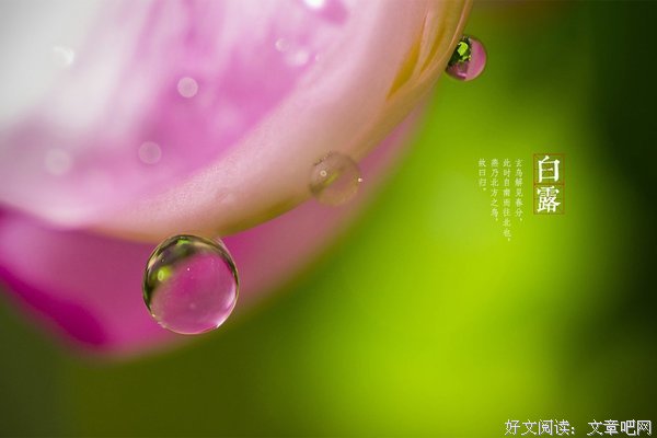 有关故乡圆天外明名言
