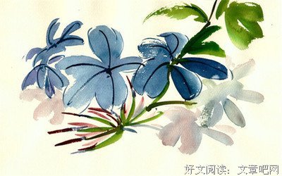 萨菲娜·德福奇名言