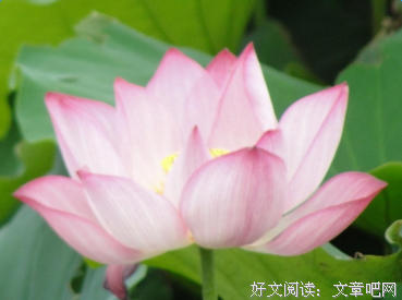 《宁静的最远处》经典句子