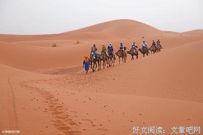 最全的《撒哈拉的故事》名句欣赏
