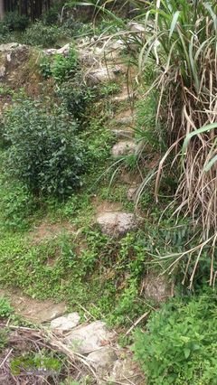 陈友中：雁湖岗和雁湖水