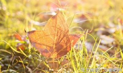 《何处暖阳不倾城》语录摘抄