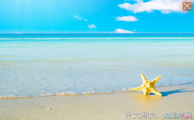 最经典的《如果世界冰封了》经典语录大全