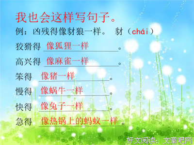 关于小鱼的座右铭
