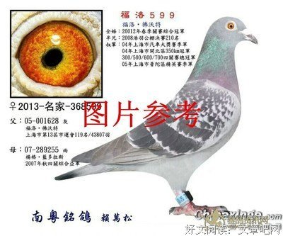 有关铭的摘抄的句子