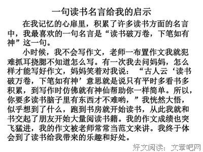 我的泪名句欣赏