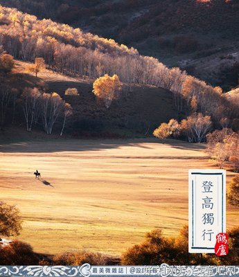 有些情自真道，说到金气你听经典的句子