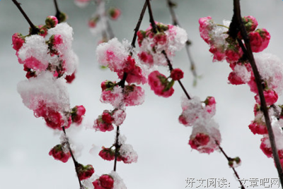 最全的以冬名言