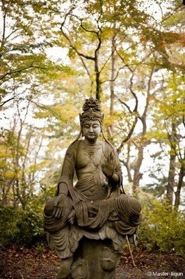 最全的佛陀名言大全