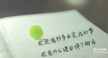最经典的彭同精彩语录