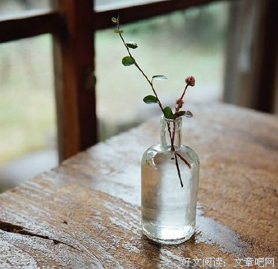 《那年那兔那些事》经典句子