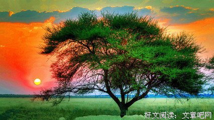 最全的《给未知恋人的情书》语录摘抄