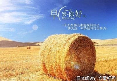 最新的《只是不想辜负了相遇》经典的句子大全