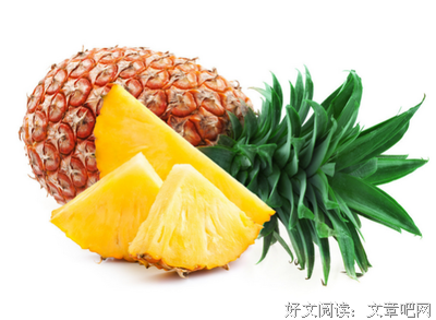 最经典的《我想送你一颗黑凤梨》经典语录